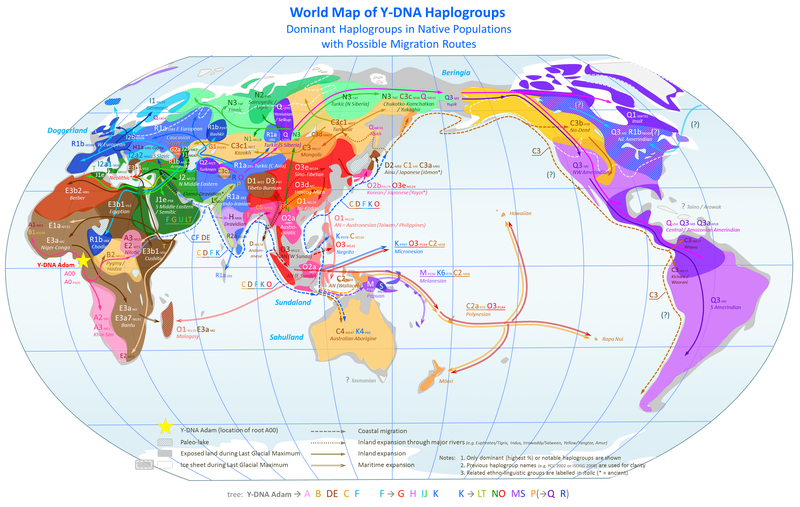 DNA genetics